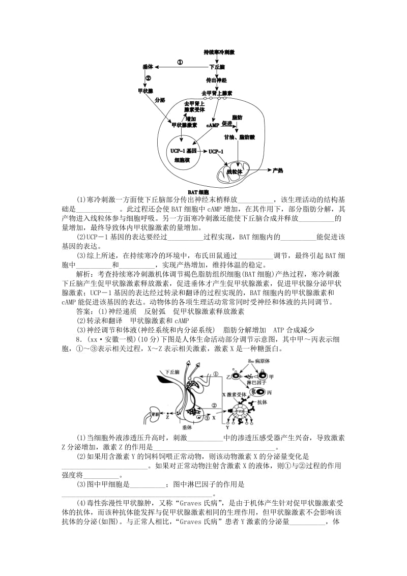 2019-2020年高考生物二轮专题复习 专题九 人和高等动物生命活动的调节课时作业.doc_第3页