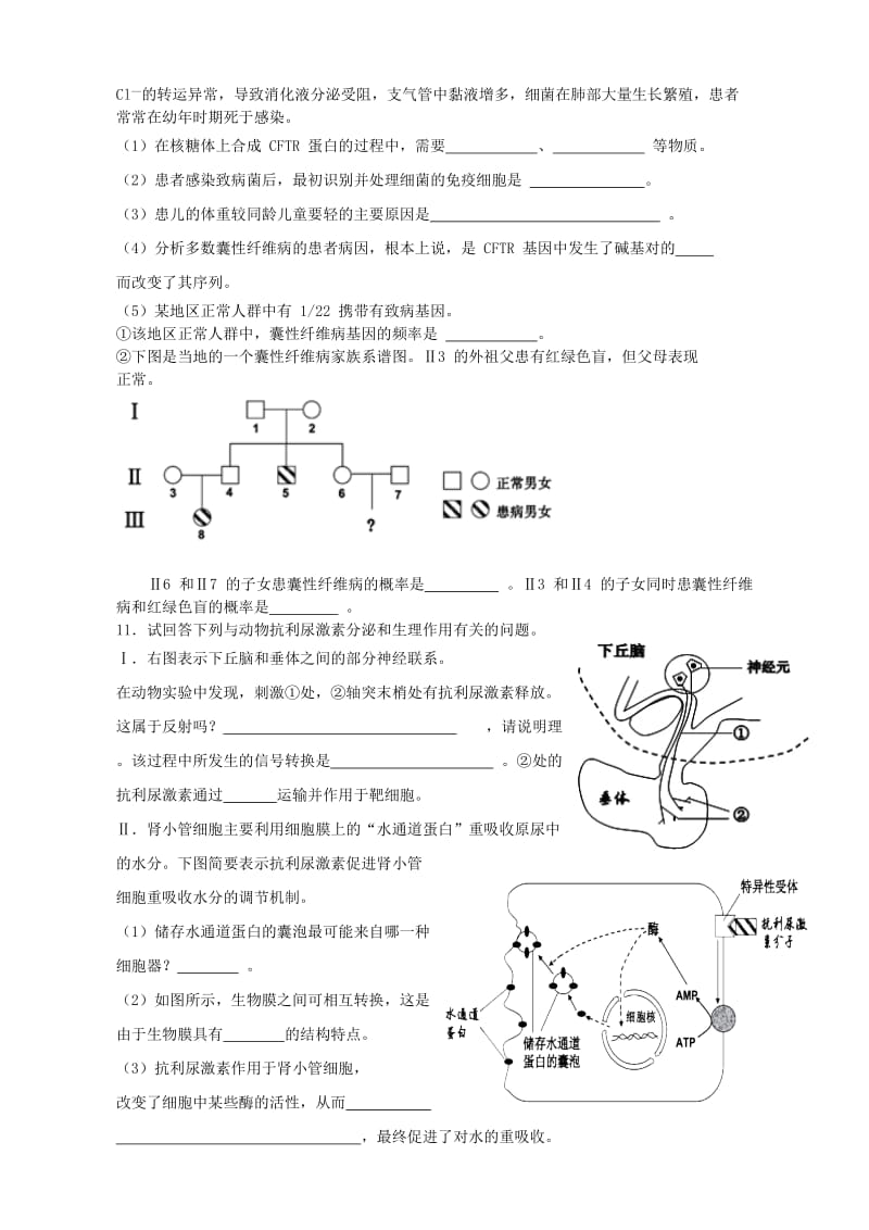 2019-2020年高二生物上学期第四次月考试题(I).doc_第3页