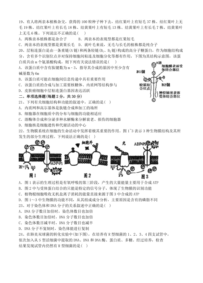 2019-2020年高二生物上学期期末测试试题.doc_第3页