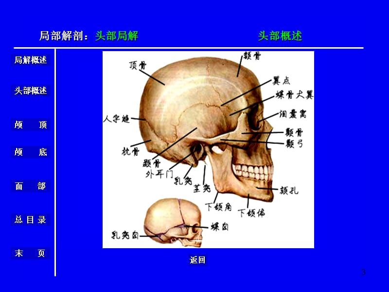 头部解剖ppt课件_第3页