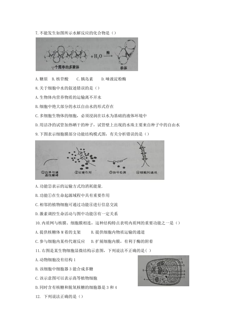 2019年高一上学期期末考试生物试题含答案.doc_第2页