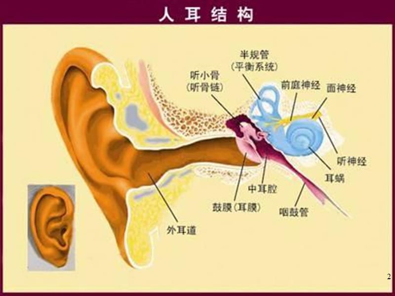 听神经瘤护理查房ppt课件_第3页