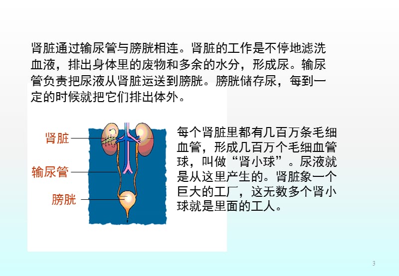 透析的选择ppt课件_第3页