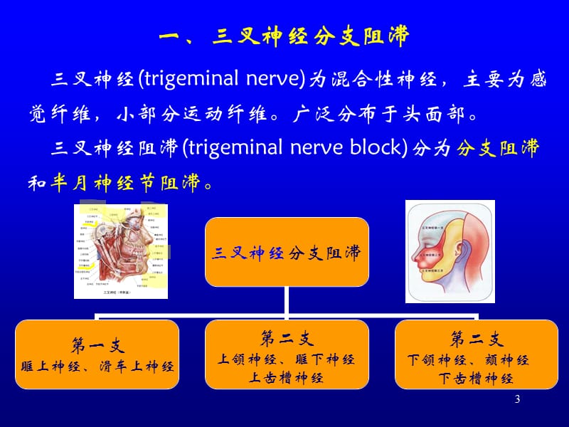 疼痛的神经阻滞ppt课件_第3页