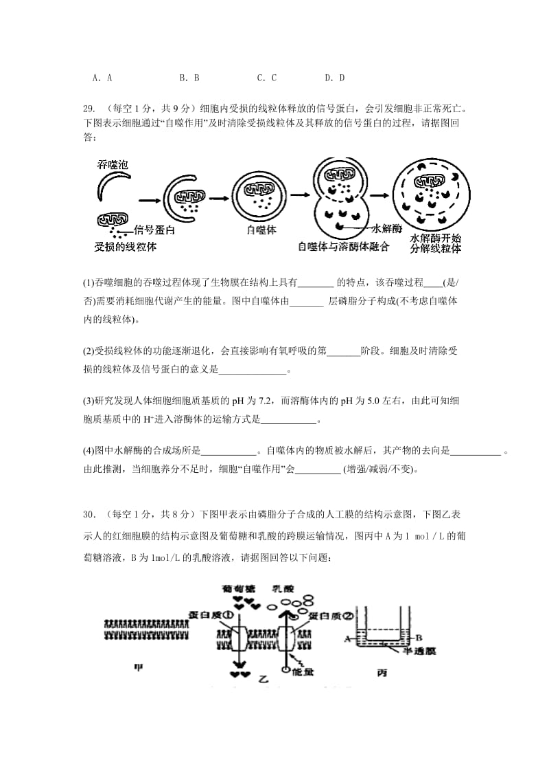 2019-2020年高三上学期暑假开学收心考试生物试题含答案.doc_第3页