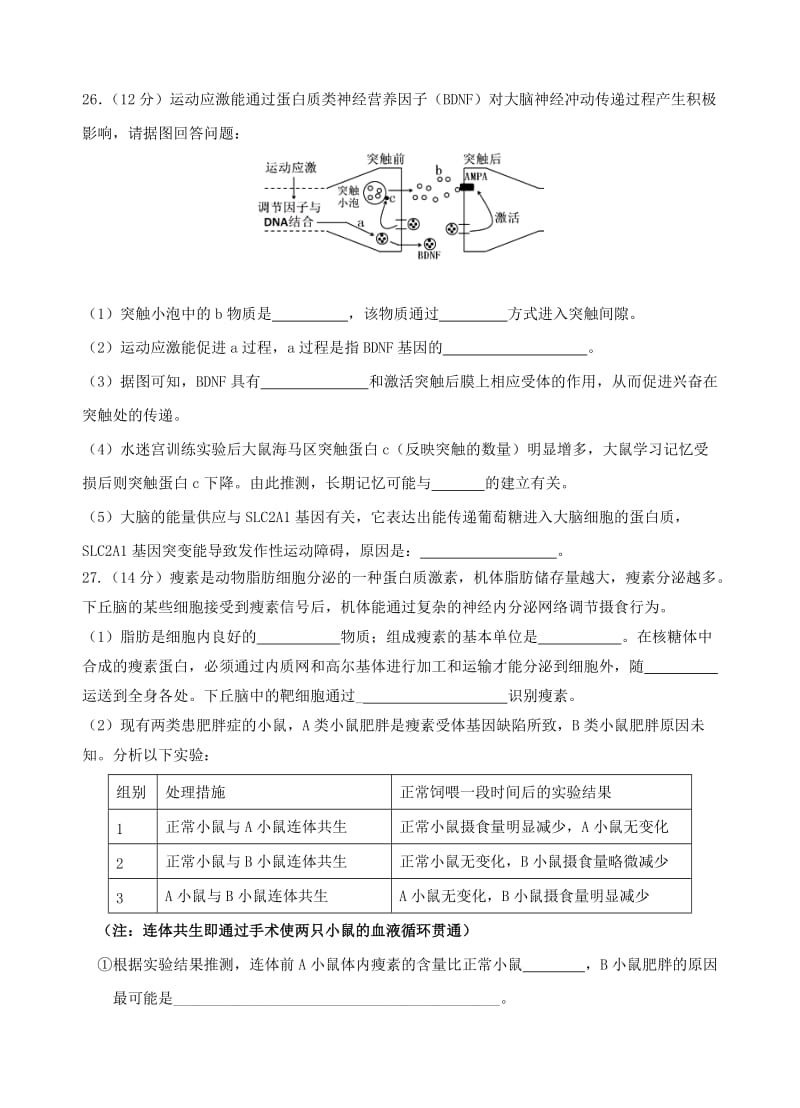 2019-2020年高三生物下学期最后一次模拟考试试卷.doc_第2页