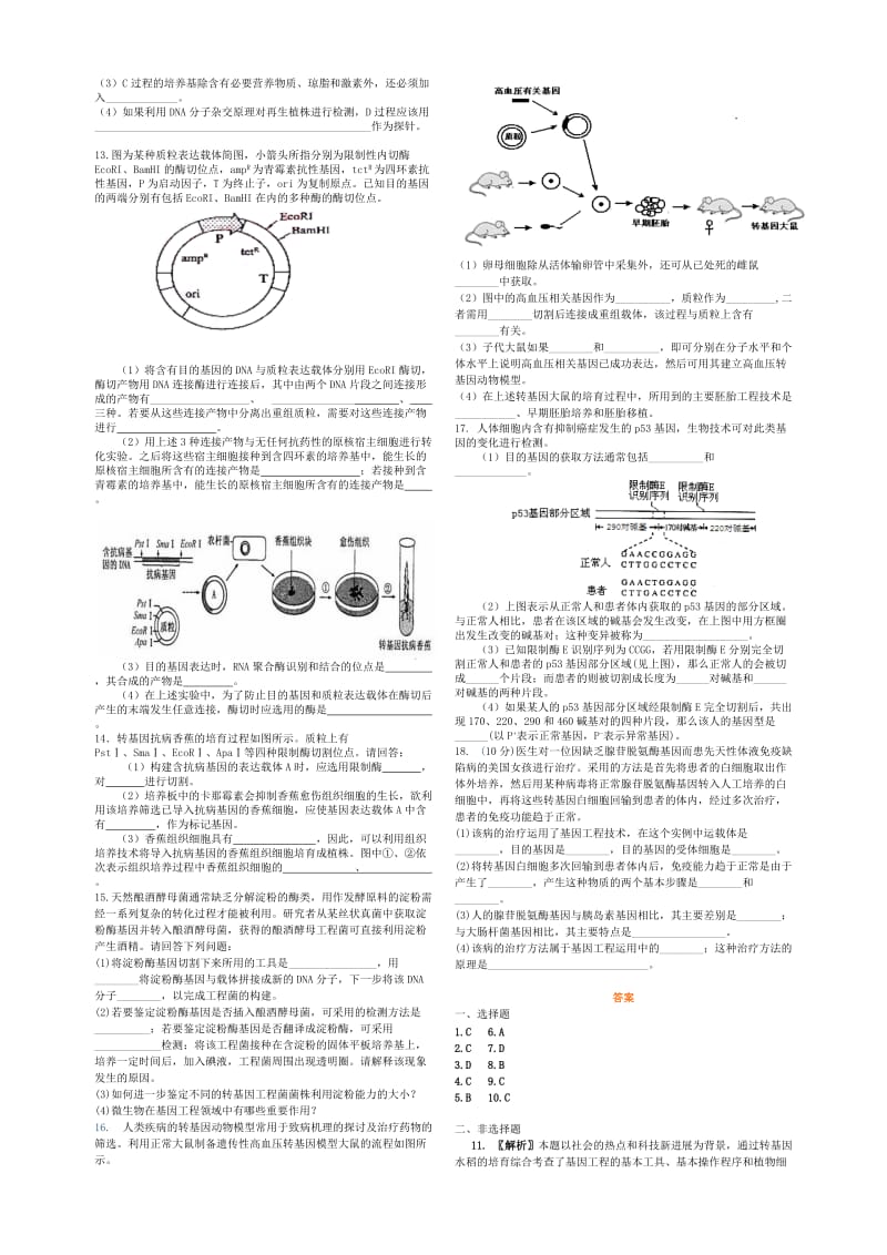 2019-2020年高中生物 基因工程测试题2 苏教版选修3.doc_第2页