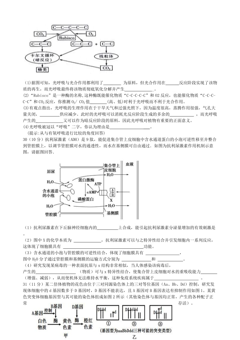 2019-2020年高三生物11月联考质量测试试题.doc_第3页