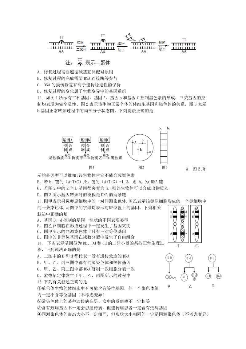 2019-2020年高三生物上学期期末联考试题(I).doc_第3页