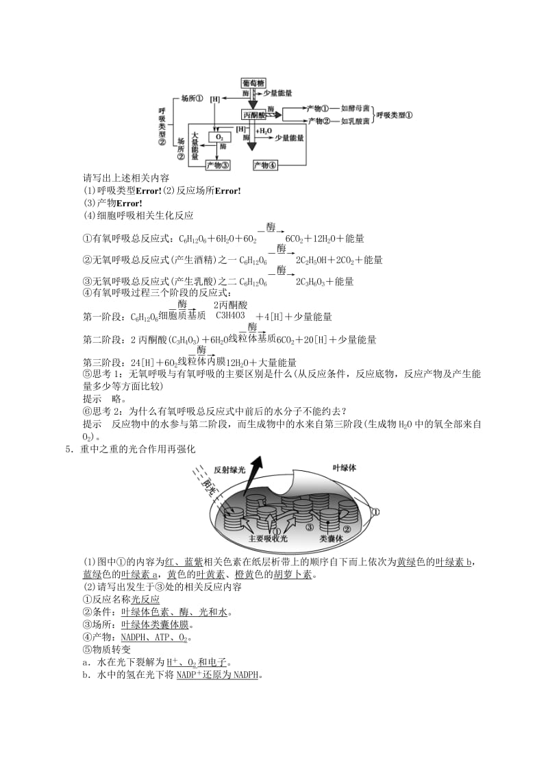 2019-2020年高三生物一轮复习 回扣落实二.doc_第3页