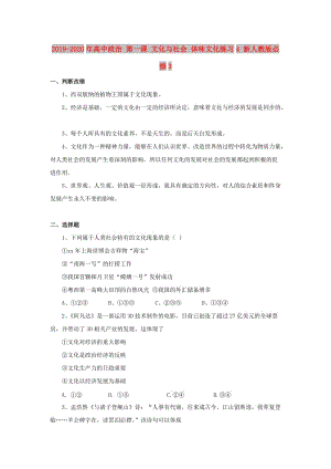 2019-2020年高中政治 第一課 文化與社會 體味文化練習4 新人教版必修3.doc