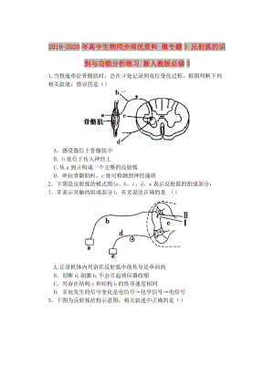 2019-2020年高中生物同步培優(yōu)資料 微專題3 反射弧的識(shí)別與功能分析練習(xí) 新人教版必修3.doc