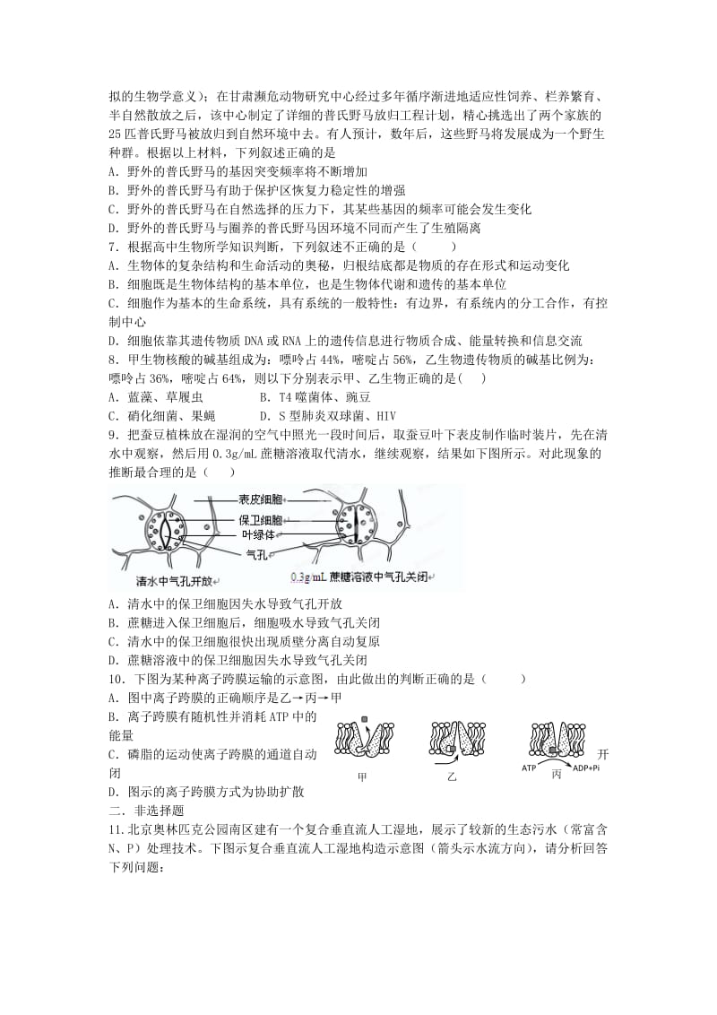 2019-2020年高三生物限时训练2.doc_第2页