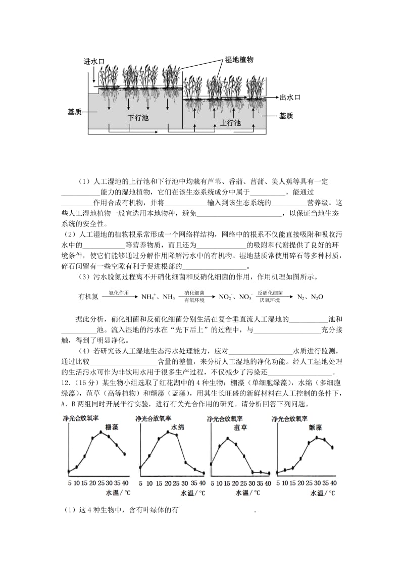 2019-2020年高三生物限时训练2.doc_第3页