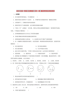 2019-2020年高三生物復(fù)習(xí) 第5章 基因突變及其他變異.doc