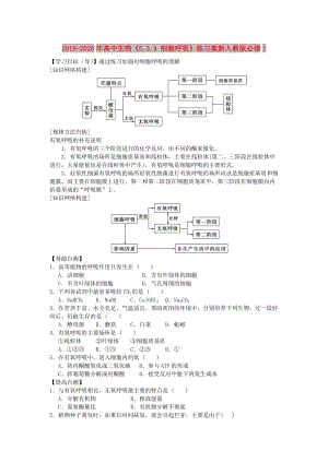 2019-2020年高中生物《5.3.4 細胞呼吸》練習案新人教版必修1.doc