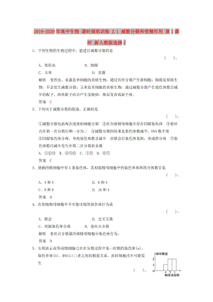 2019-2020年高中生物 課時規(guī)范訓(xùn)練 2.1 減數(shù)分裂和受精作用 第1課時 新人教版選修2.doc