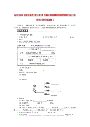 2019-2020年高中生物 第二章 第7課時(shí) 細(xì)胞膜和細(xì)胞壁課時(shí)作業(yè)（含解析）浙科版必修1.doc