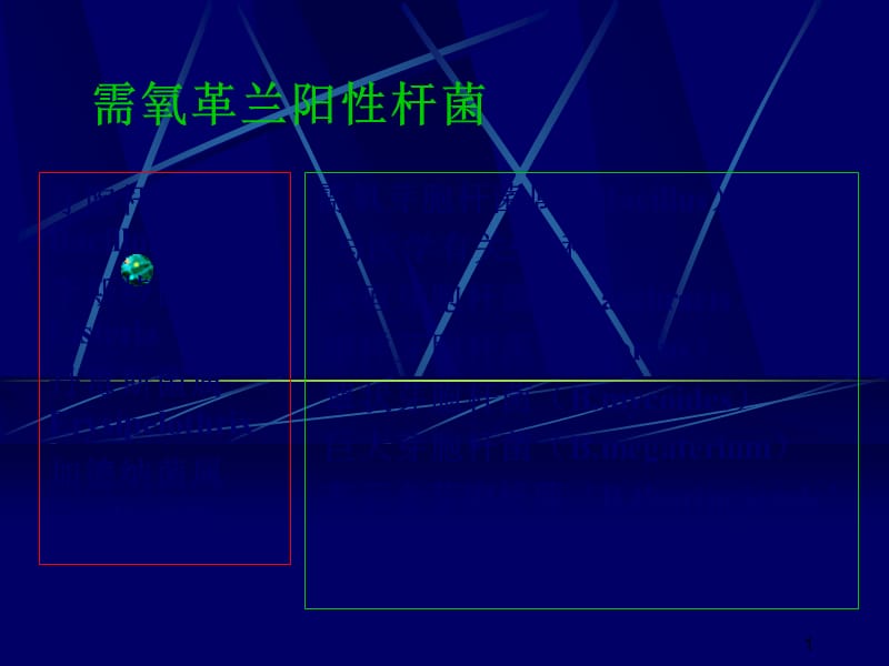 需氧革兰阳性杆菌ppt课件_第1页