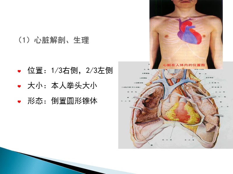 循环系统疾病病人的护理PPT课件_第3页