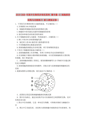 2019-2020年高中生物同步培優(yōu)資料 微專題15 細(xì)胞核的結(jié)構(gòu)與功能練習(xí) 新人教版必修1.doc