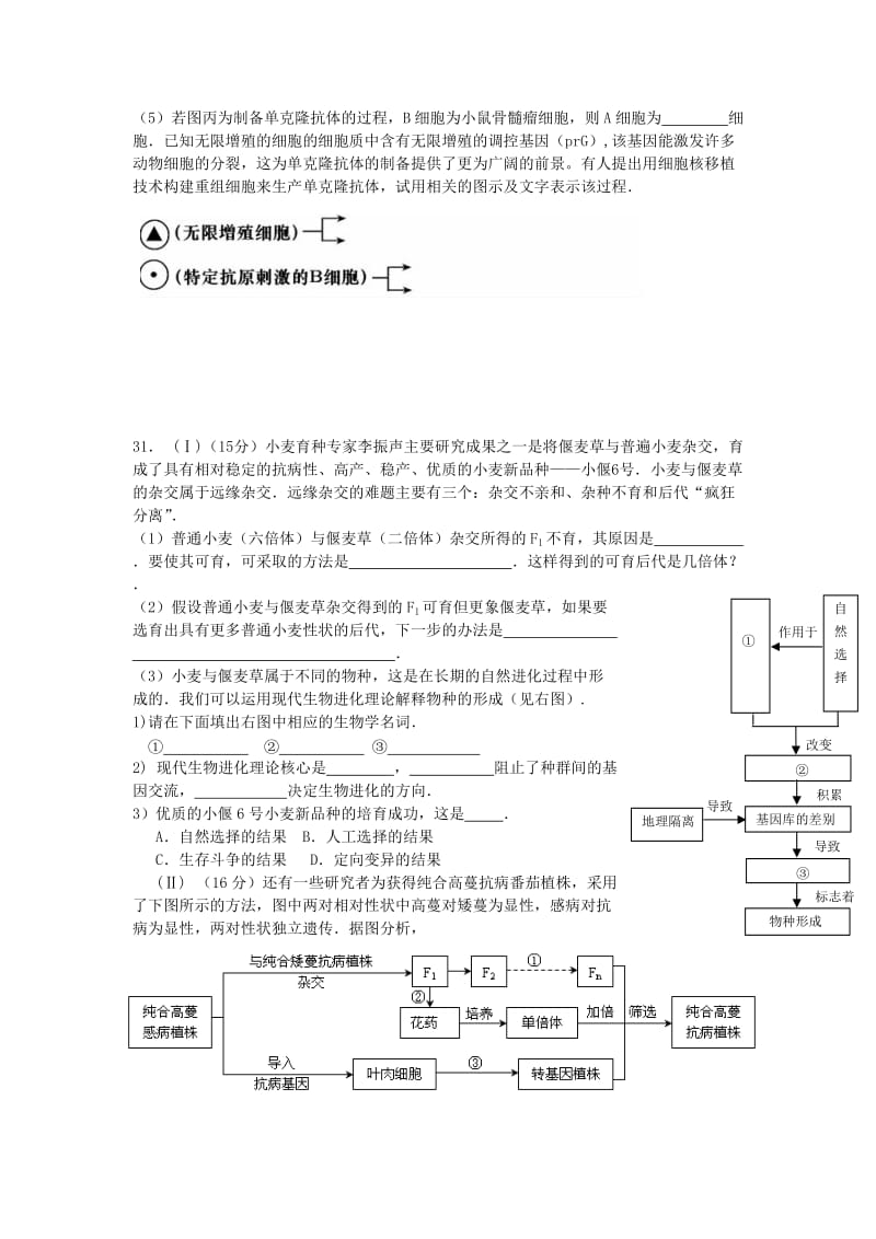 2019-2020年高三生物下学期第十一次大练习试题新人教版.doc_第3页