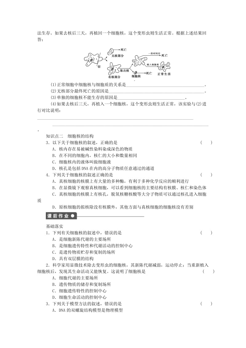 2019-2020年高中生物 第三章 第11课时 细胞核 系统的控制中心课时作业 新人教版必修1.doc_第2页