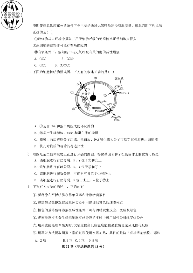 2019-2020年高三生物上学期第十五次周练试题.doc_第2页