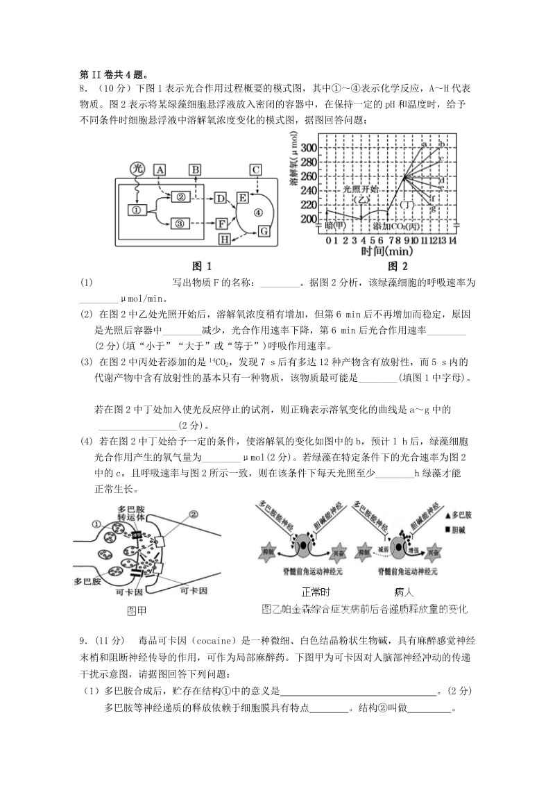 2019-2020年高三生物上学期第十五次周练试题.doc_第3页