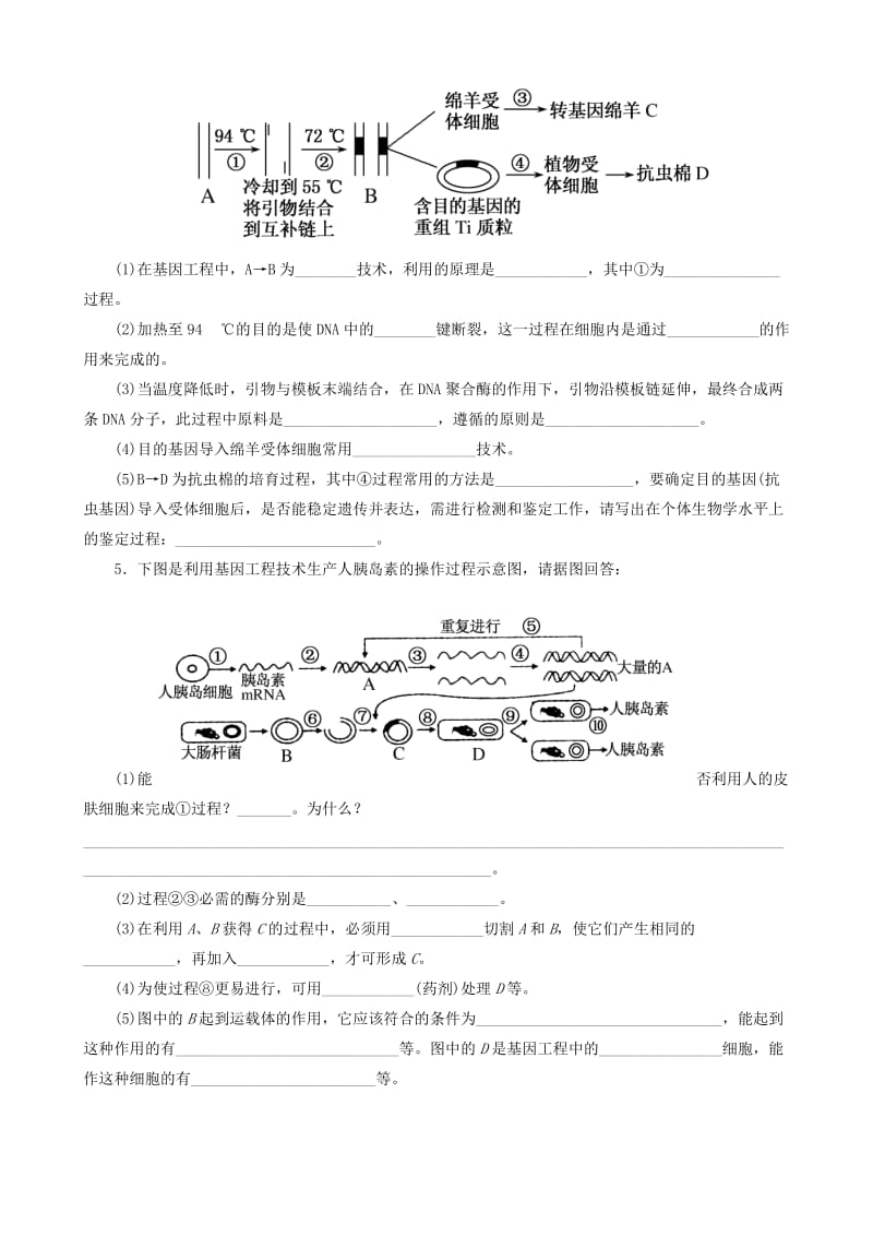 2019-2020年高中生物 第6章 基因工程练习 新人教版必修2.doc_第3页