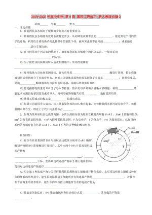 2019-2020年高中生物 第6章 基因工程練習(xí) 新人教版必修2.doc