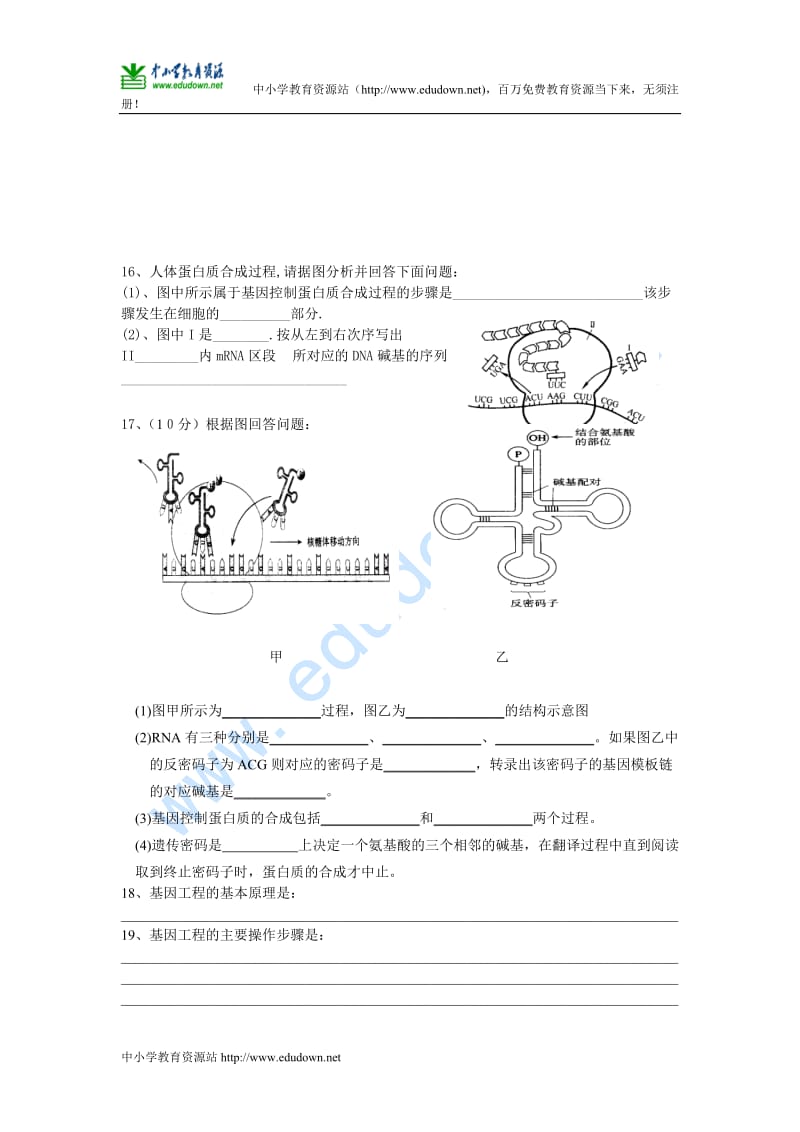 沪科版生命科学高二上6-3《基因工程与转基因生物》习题2.doc_第3页