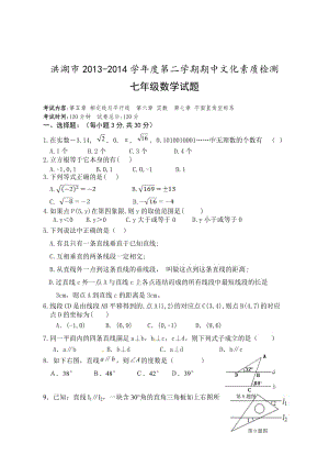 洪湖市2014年七年級下期中文化素質檢測數(shù)學試題及答案.doc