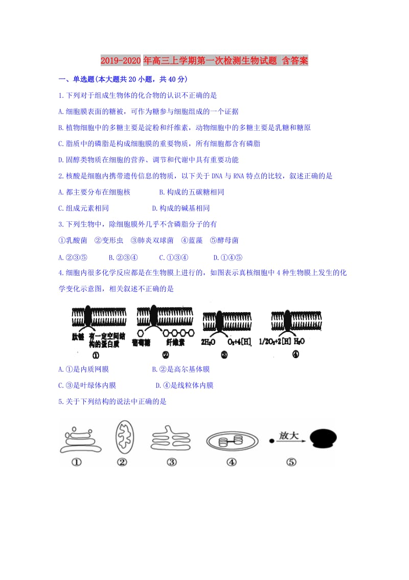 2019-2020年高三上学期第一次检测生物试题 含答案.doc_第1页