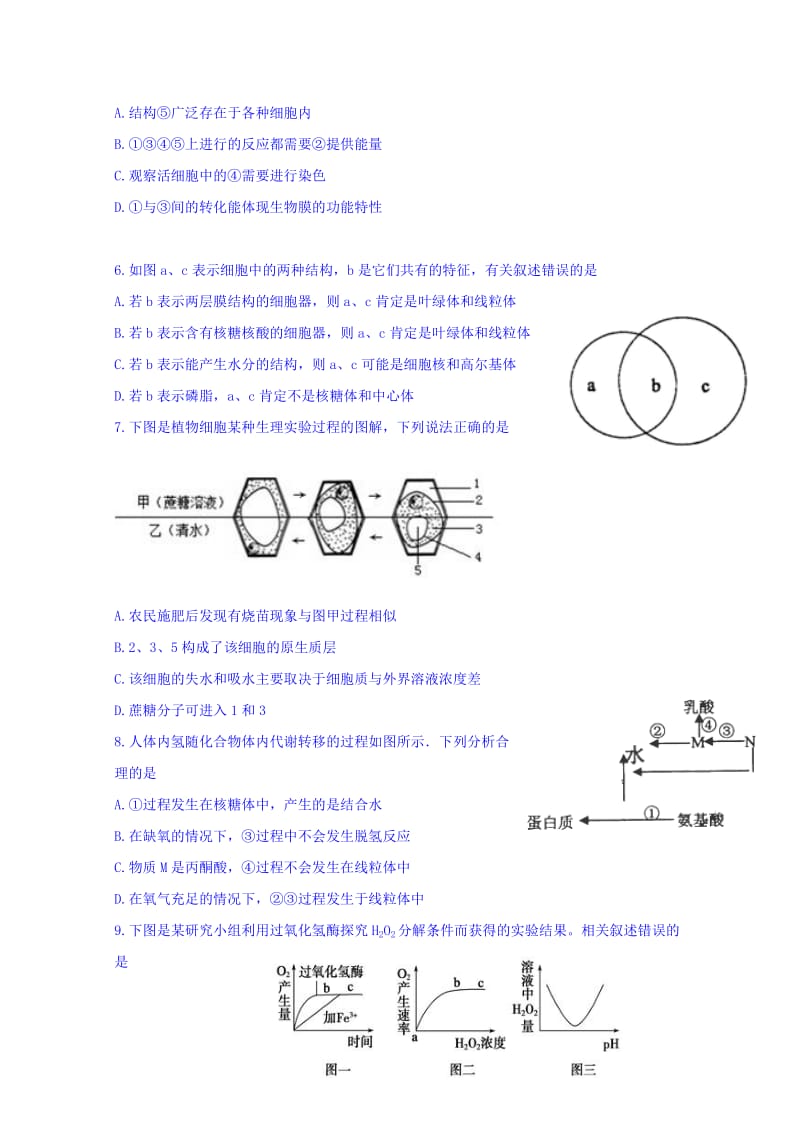 2019-2020年高三上学期第一次检测生物试题 含答案.doc_第2页