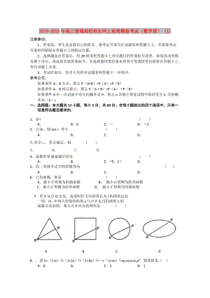 2019-2020年高三普通高校招生網(wǎng)上閱卷模擬考試（數(shù)學(xué)理） (I).doc