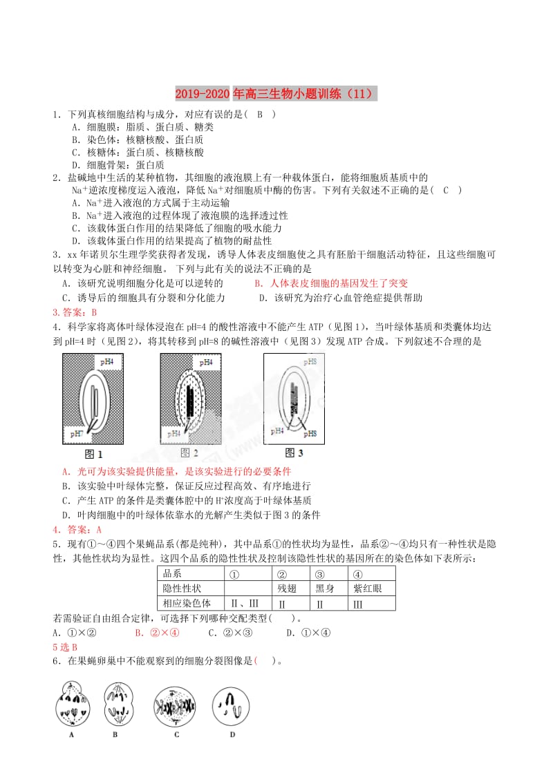 2019-2020年高三生物小题训练（11）.doc_第1页