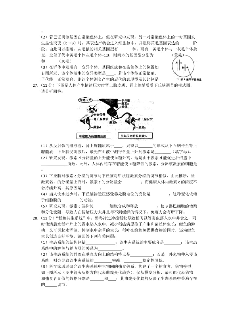 2019-2020年高三第一次模拟考试理综生物试题含答案.doc_第3页