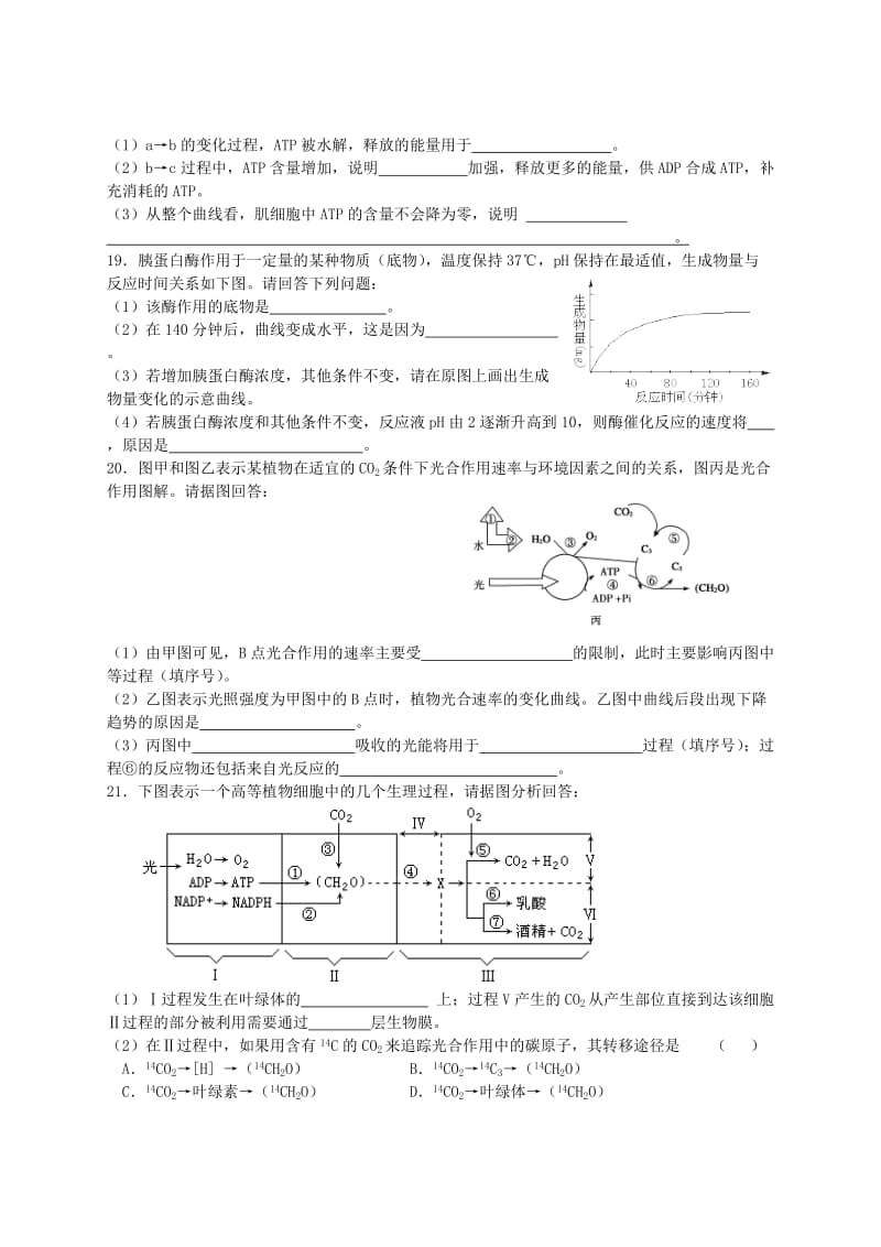 2019-2020年高中生物 第4章《光合作用和细胞呼吸》单元综合检测题 苏教版必修1.doc_第3页