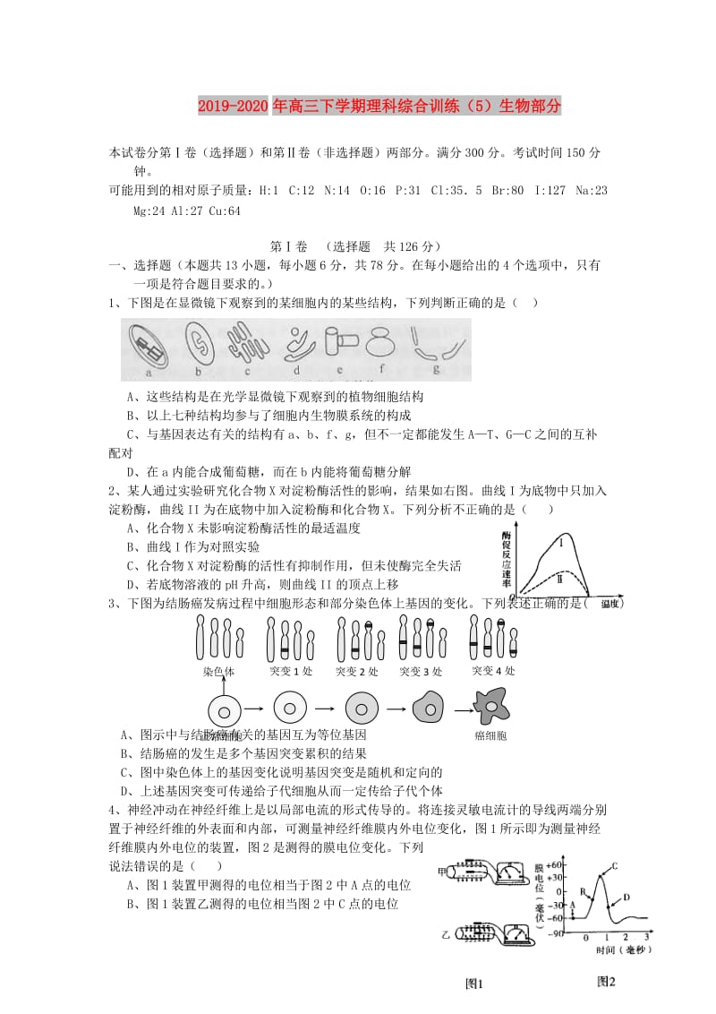 2019-2020年高三下学期理科综合训练（5）生物部分.doc_第1页