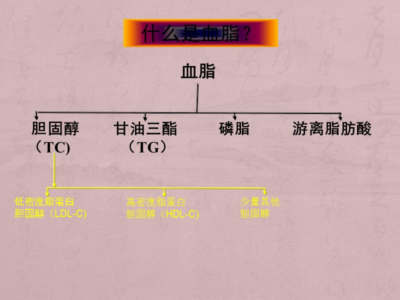 血脂异常的诊治与社区管理ppt课件_第2页