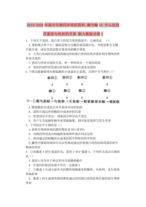 2019-2020年高中生物同步培優(yōu)資料 微專題18 中心法則及基因與性狀的關(guān)系 新人教版必修2.doc