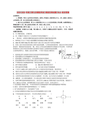 2019-2020年高三第九次模擬考試 理綜生物試題 Word版含答案.doc