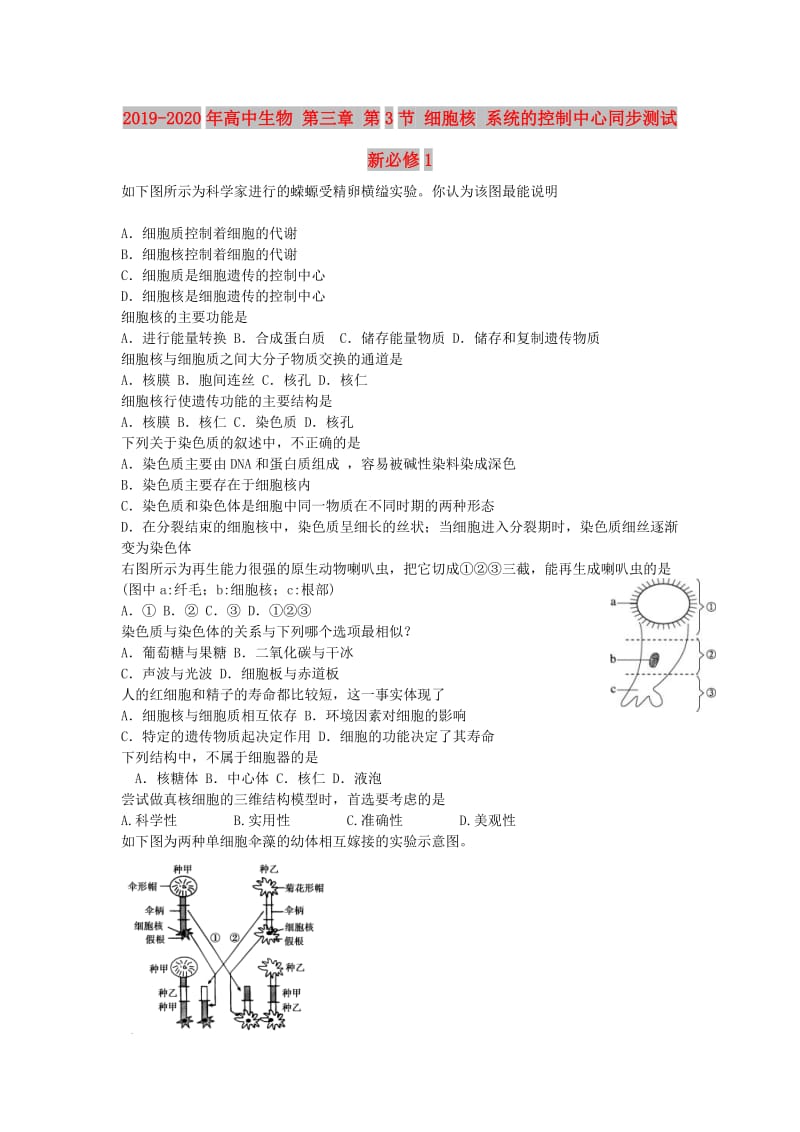 2019-2020年高中生物 第三章 第3节 细胞核 系统的控制中心同步测试 新必修1.doc_第1页