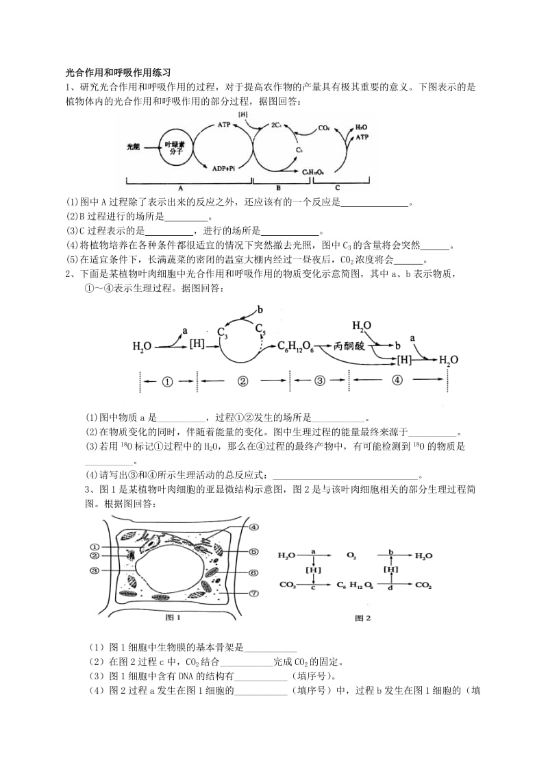 2019-2020年高中生物《第5章 光合作用和呼吸作用》检测题新人教版必修1.doc_第3页