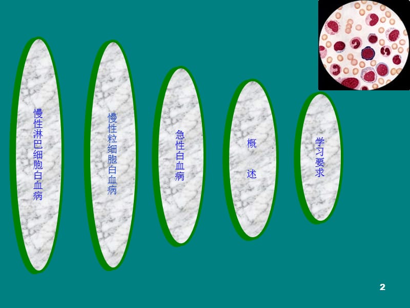 血液系统疾病病人护理PPT课件_第2页