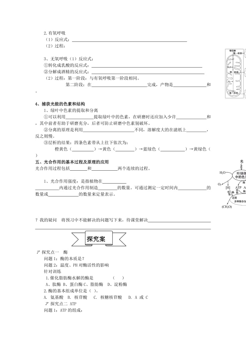 2019-2020年高中生物 学业水平复习测试 第3单元 细胞能量供应和利用 新人教版必修1.doc_第2页