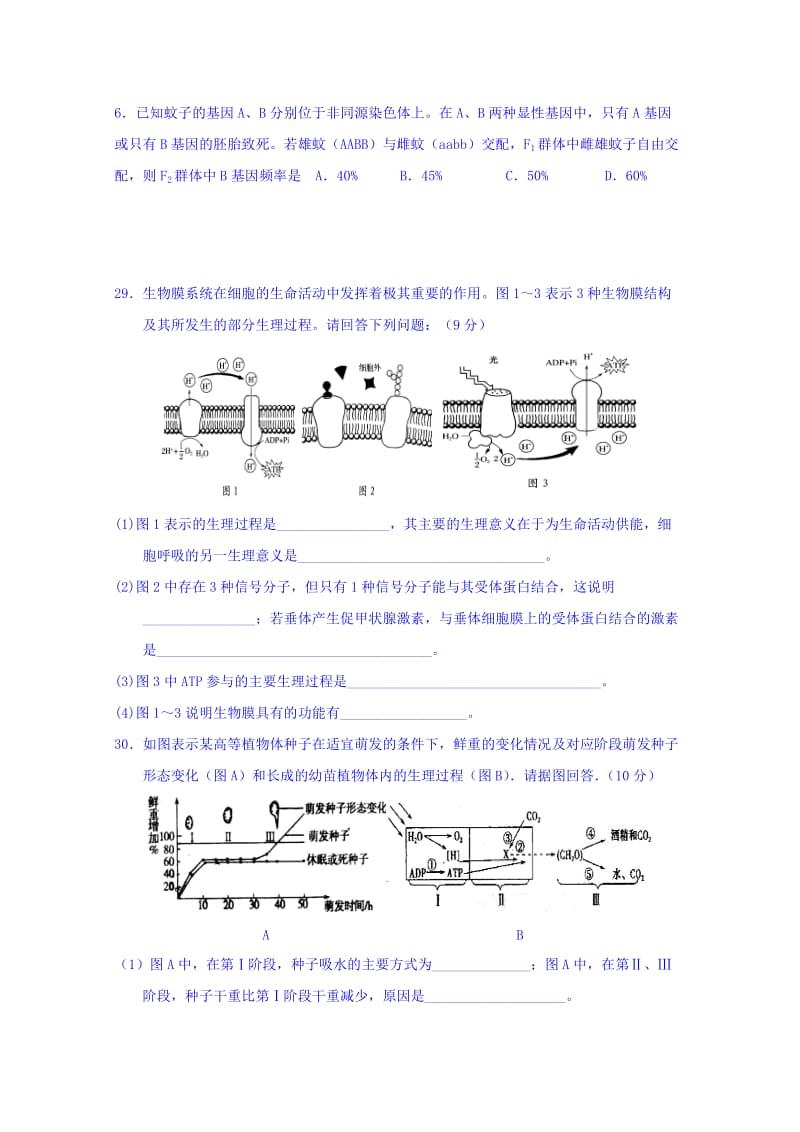 2019-2020年高三第一次模拟考试理科综合—生物部分试题 含答案.doc_第2页