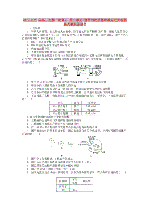 2019-2020年高三生物一輪復(fù)習(xí) 第二單元 遺傳的物質(zhì)基礎(chǔ)單元過(guò)關(guān)檢測(cè) 新人教版必修2.doc