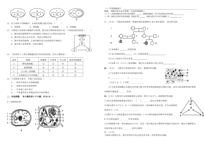 2019-2020年高三生物复习 期末考试.doc_第2页